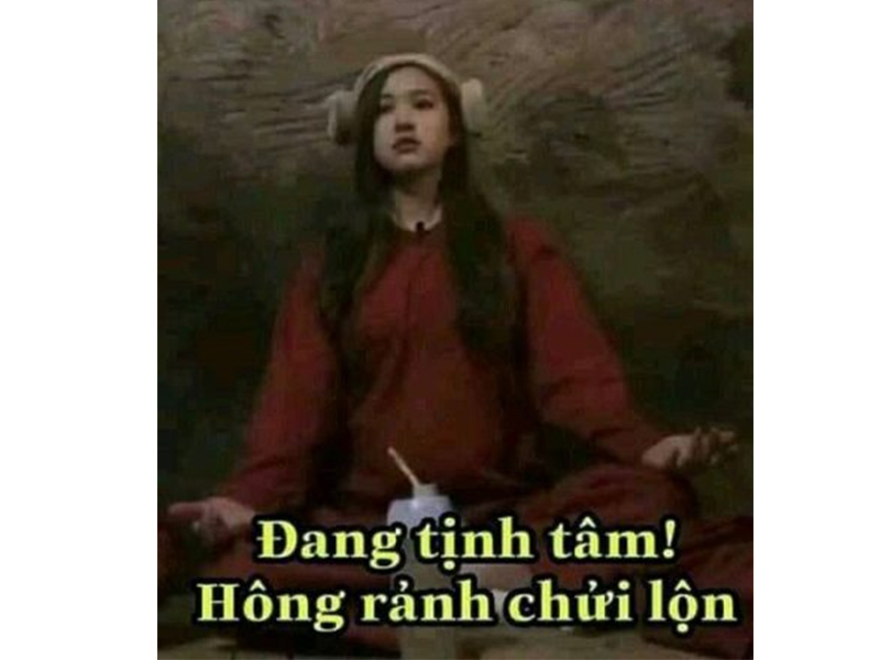 20+ Meme Tịnh Tâm Cười Bể Bụng Mới Nhất 2024