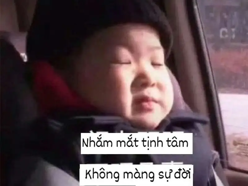 20+ Meme Tịnh Tâm Cười Bể Bụng Mới Nhất 2024