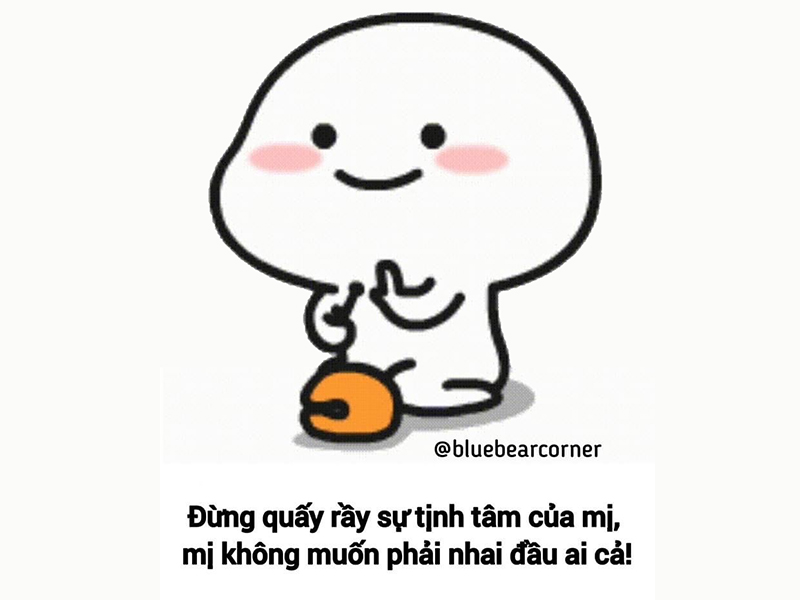 20+ Meme Tịnh Tâm Cười Bể Bụng Mới Nhất 2024