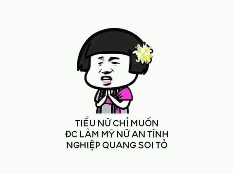 20+ Meme Tịnh Tâm Cười Bể Bụng Mới Nhất 2024