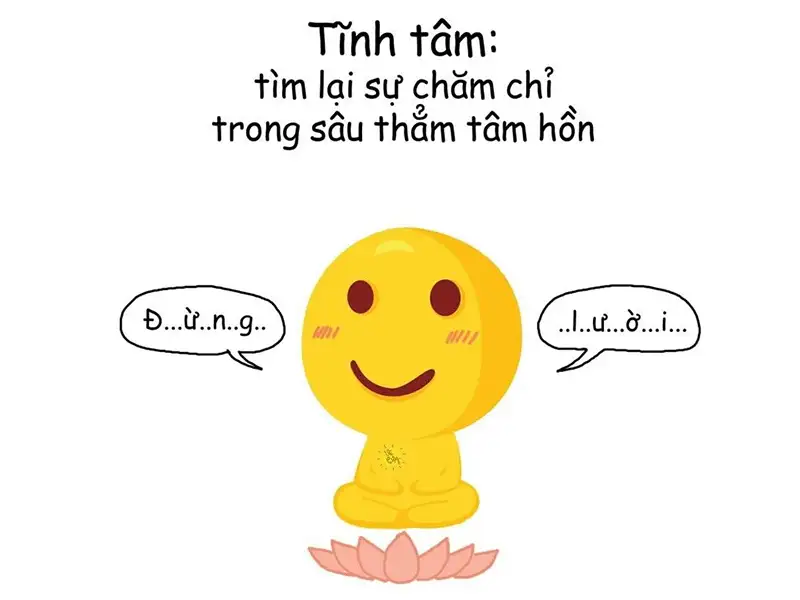 20+ Meme Tịnh Tâm Cười Bể Bụng Mới Nhất 2024