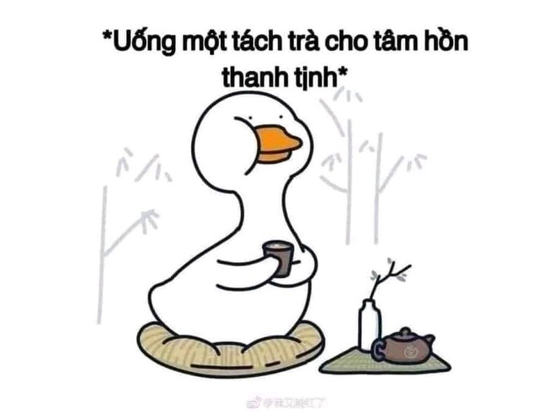 20+ Meme Tịnh Tâm Cười Bể Bụng Mới Nhất 2024