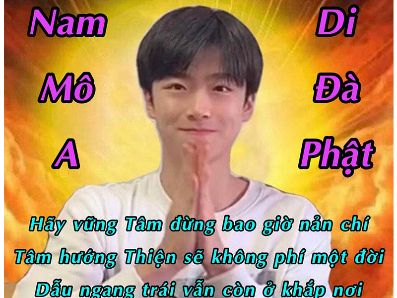 20+ Meme Tịnh Tâm Cười Bể Bụng Mới Nhất 2024