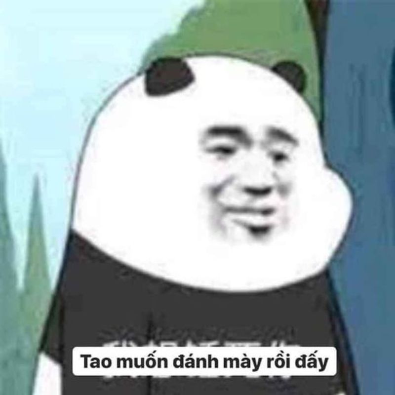 Sưu tầm bộ meme gấu trúc weibo cực vui nhộn, hài hước