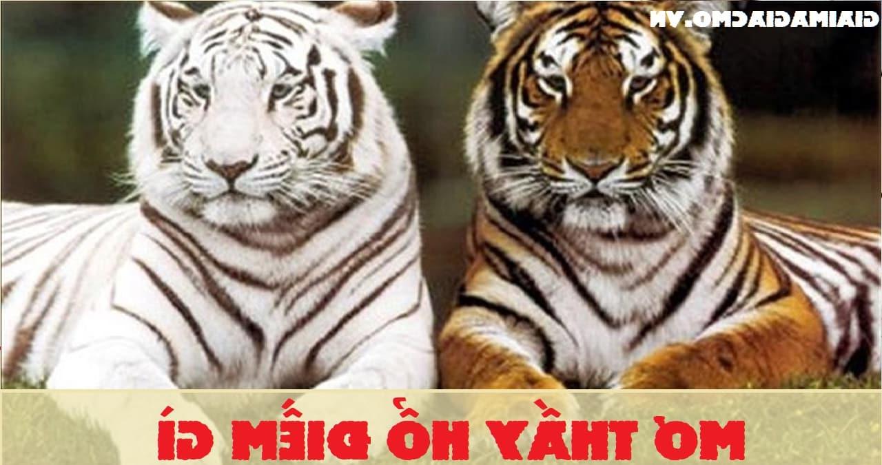 Con Mèo Số Mấy, Mơ Thấy Mèo Đánh Con Gì Sổ Mơ