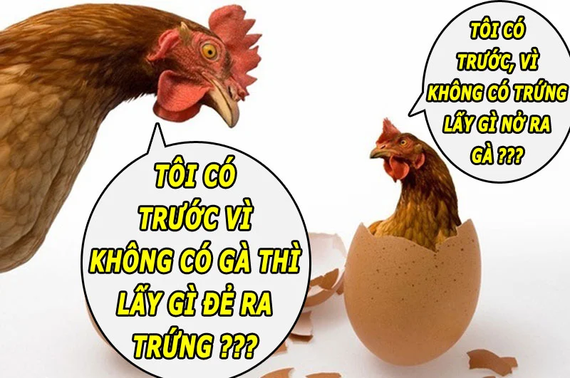 Quả trứng có trước hay con gà có trước: Đây chính là câu trả lời chính xác nhất