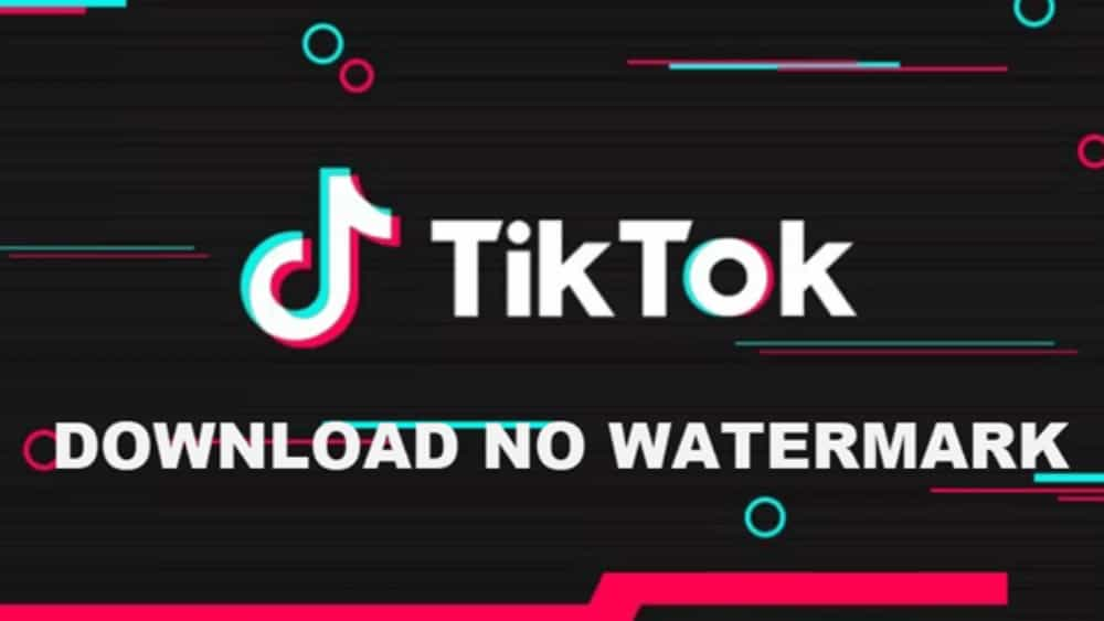 Snaptik App - Tiktok downloader - Unduh Video Tiktok tanpa Watermark