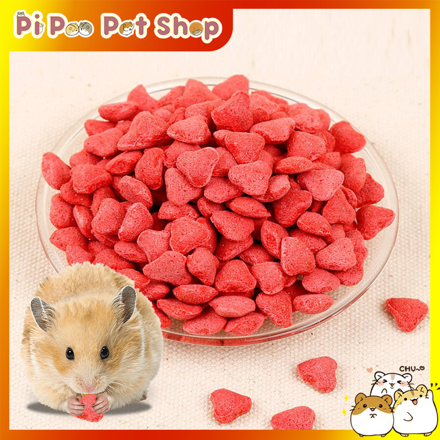 Nuôi chuột hamster cho ăn gì