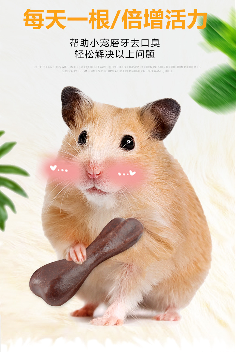 Nuôi chuột hamster cho ăn gì