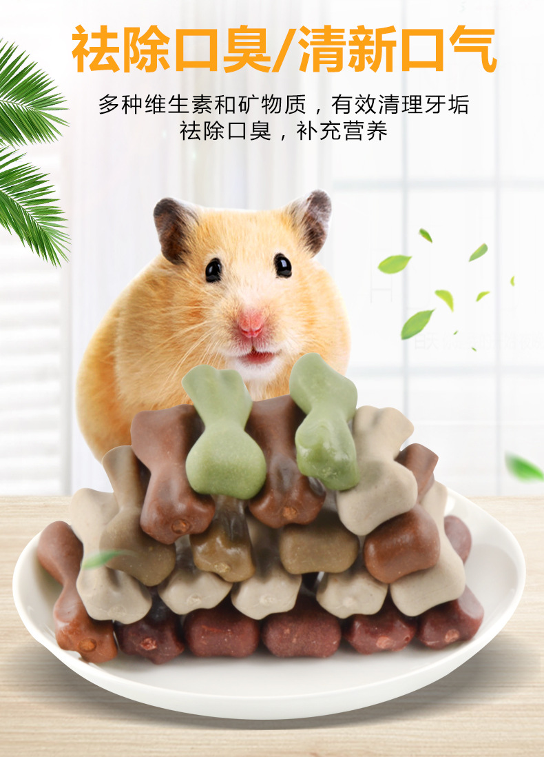 Nuôi chuột hamster cho ăn gì