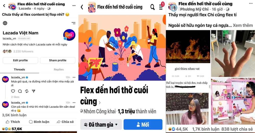 Flex là gì mà thành hot trend trên mạng xã hội