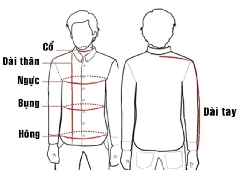 Tìm hiểu về size XL: Cách chọn size chuẩn cơ thể