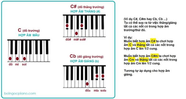 Hướng dẫn cách tự học đàn Piano cơ bản tại Nhà