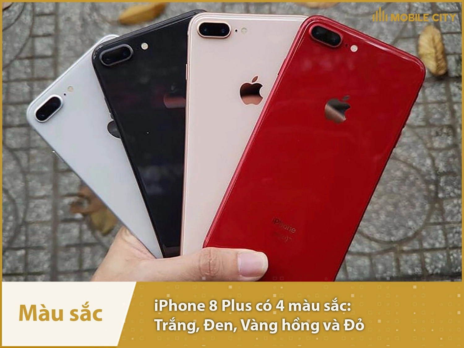 Điện thoại iPhone 8 Plus Cũ (Chính hãng) - Fullbox