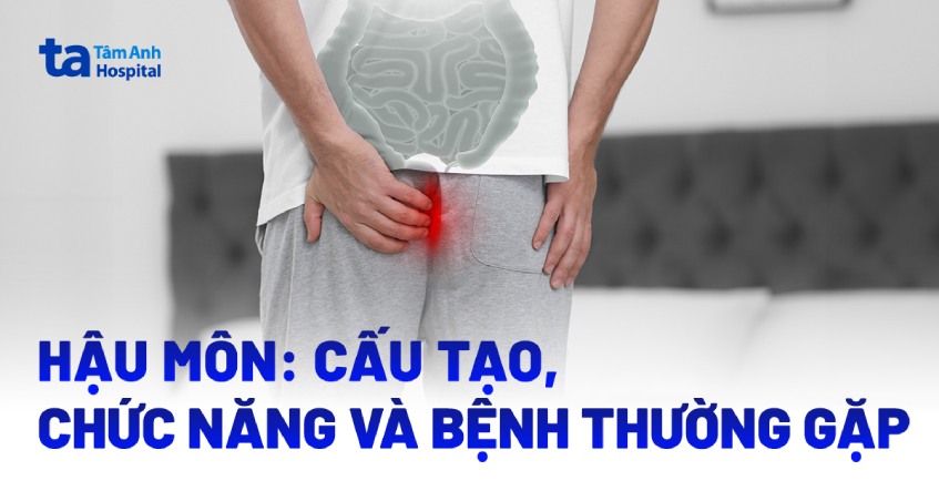 Hậu môn là gì? Cấu tạo, chức năng, vị trí và cách vệ sinh đúng