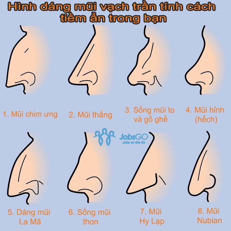 Các Dáng Mũi Trong Nhân Tướng Học: 23 Dáng Mũi Thu Hút Tài Lộc Nhất