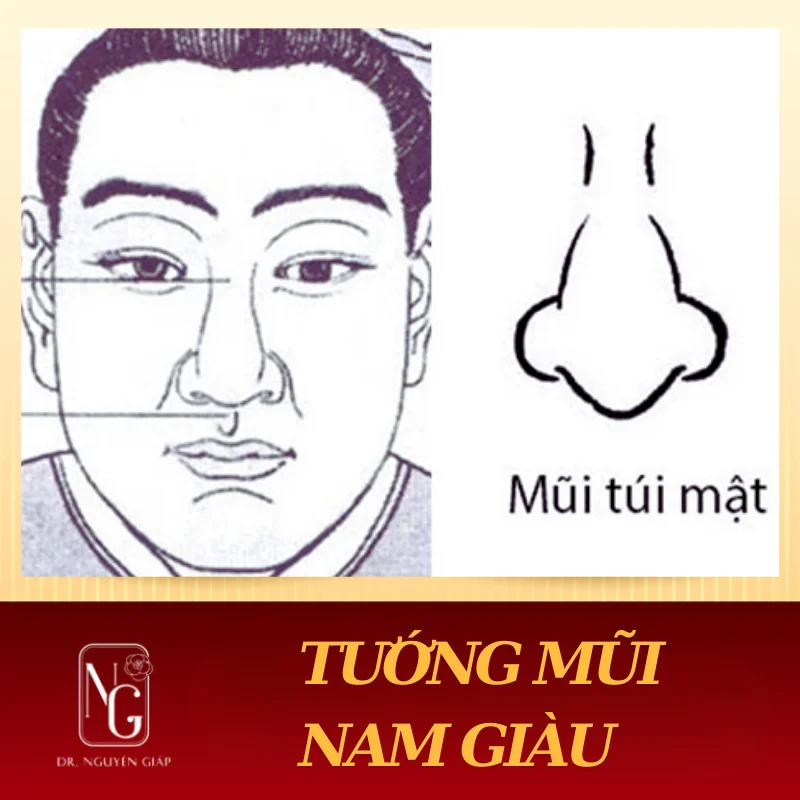 Các Kiểu Tướng Mũi Nam Giới Giàu Sang