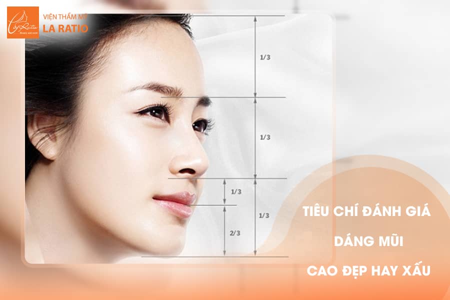 Mũi cao là như thế nào và cách nhận biết độ cao của mũi