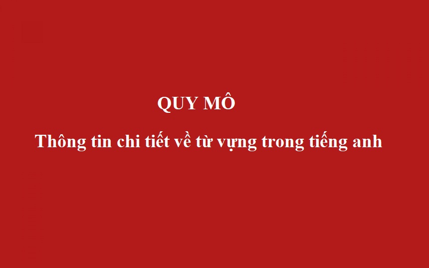 Quy Mô trong Tiếng Anh là gì: Định Nghĩa, Ví Dụ Anh Việt