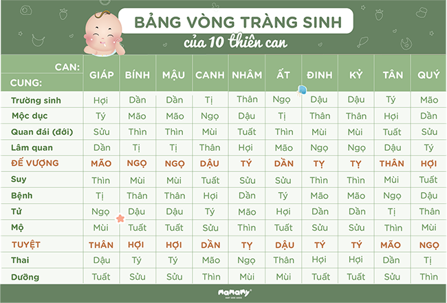 Sinh con hợp tuổi bố mẹ: Rước tài lộc, ăn nên làm ra (Mới nhất 2024)