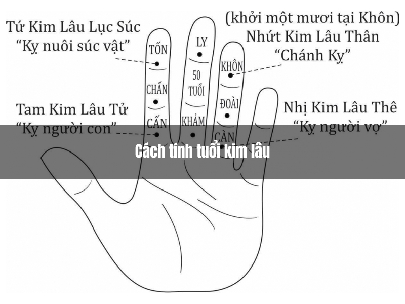 Bảng tra tuổi làm nhà 2024