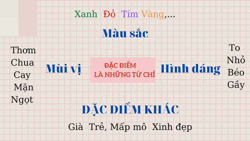 Phân biệt Từ chỉ sự vật; Từ chỉ đặc điểm; Từ chỉ hoạt động, trạng thái