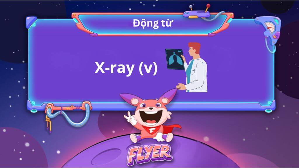 Tổng hợp toàn bộ từ tiếng Anh bắt đầu bằng chữ “x” theo từ loại [kèm ví dụ +bài tập]